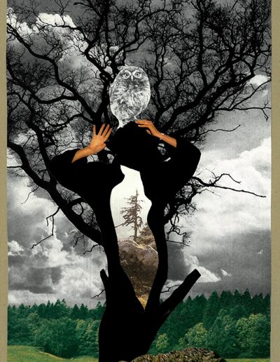 Collage von Regina Gebhard: "Traum vom Baum sein"